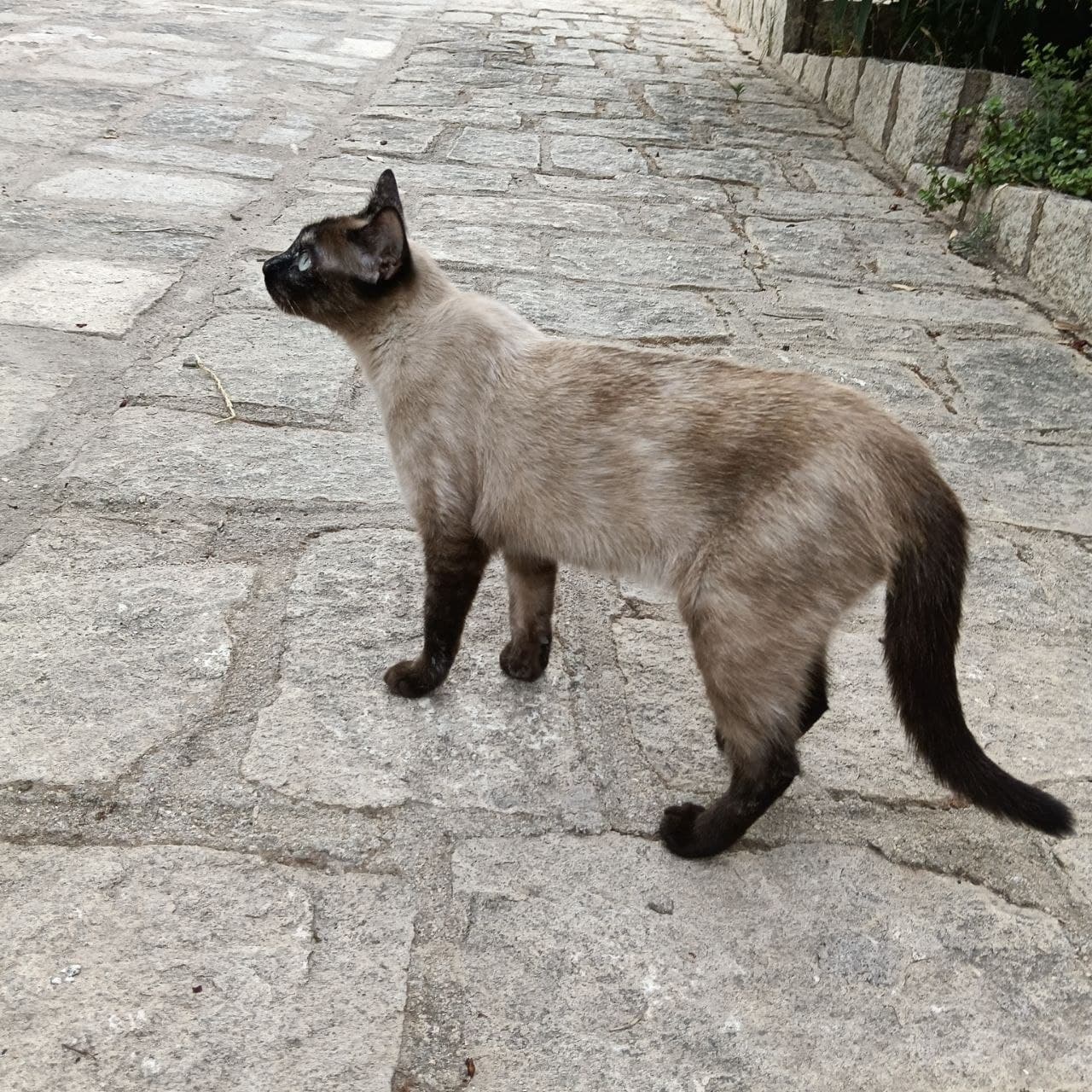 Foto de Sofi